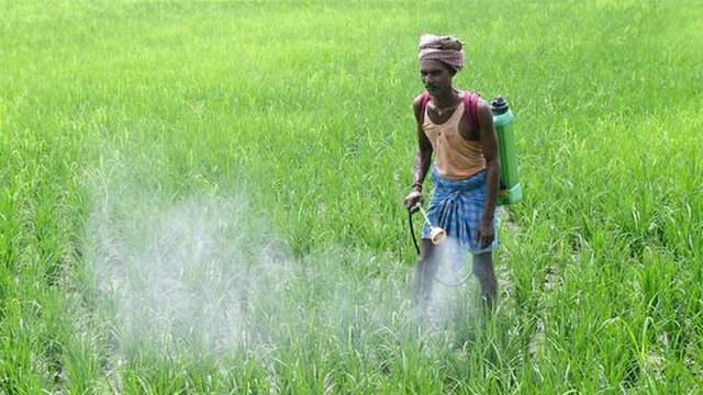 Pesticide Daily Current Affairs Update | 15 Feb 2020