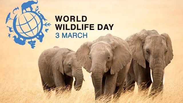 Wildlife Day Daily Current Affairs Update | 4 March 2020
