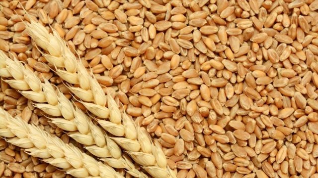 Wheat Daily Current Affairs Update | 26 March 2020